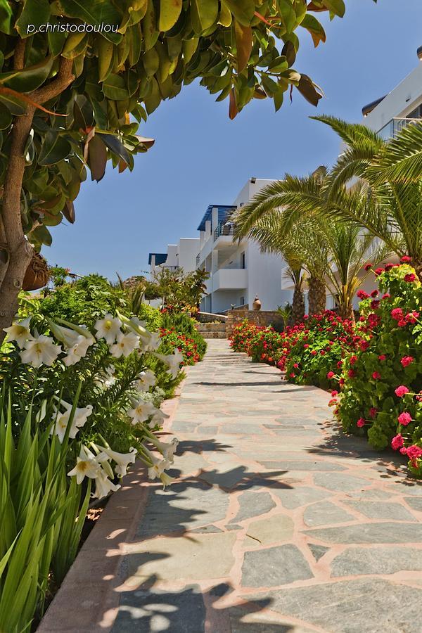 Chc Sound Of The Sea Aparthotel Karpathos Exterior photo